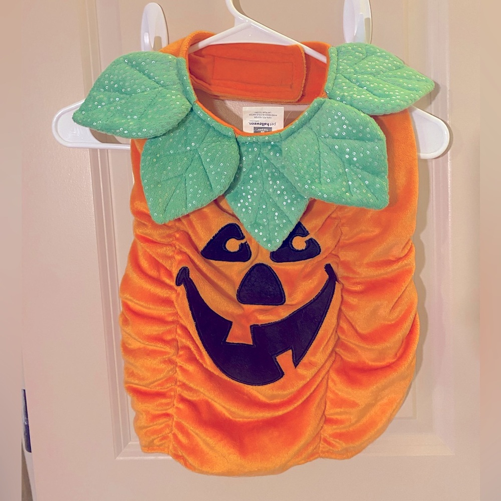 Pupkin Costume - Medium